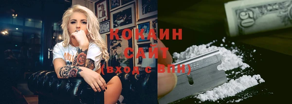 шишки Новочеркасск