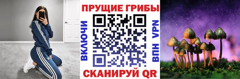 мориарти формула  Комсомольск-на-Амуре  Галлюциногенные грибы мухоморы 